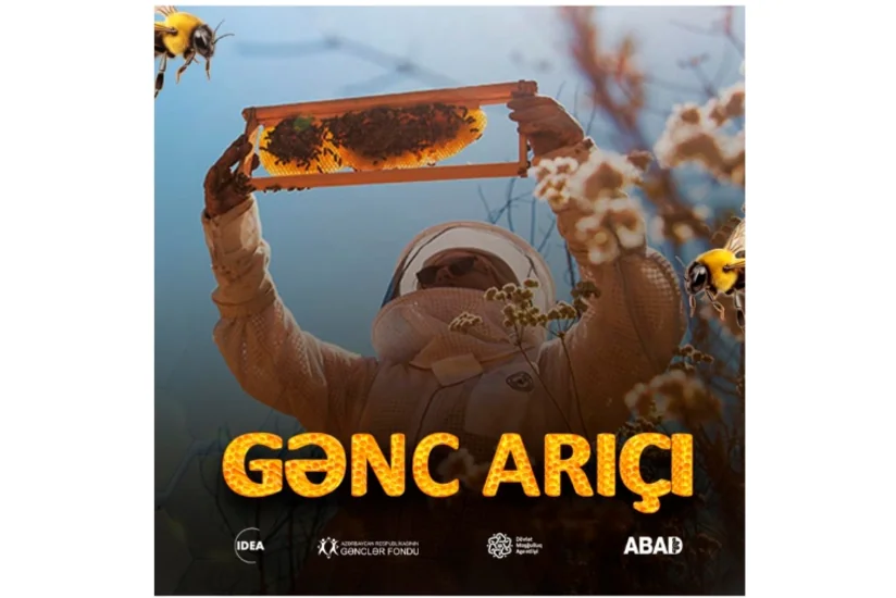 IDEA İctimai Birliyinin “Gənc arıçı” layihəsinin növbəti mərhələsi Qəbələdə keçiriləcək