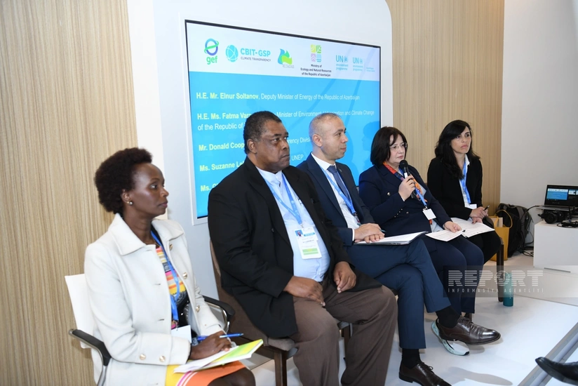 Creation of national transparency systems for climate monitoring mulled in Baku