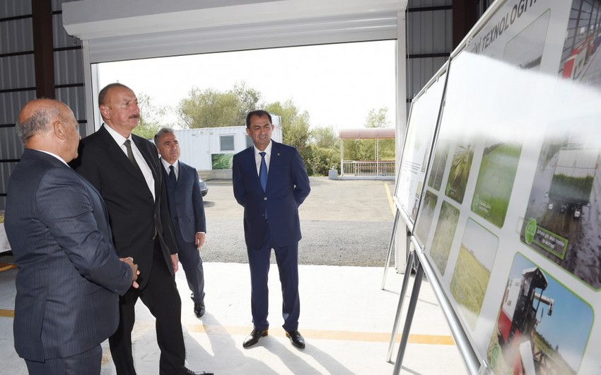 Prezident İlham Əliyev Lənkəranda çəltik zavodunun açılışını edib