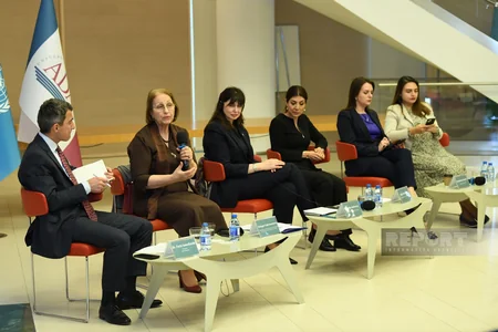 UN Office to invite climate experts to Azerbaijan within COP29