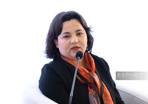 Nazir müavini: Azərbaycan bütün sahələr üzrə beynəlxalq sənədlərə uyğun fəaliyyət göstərir