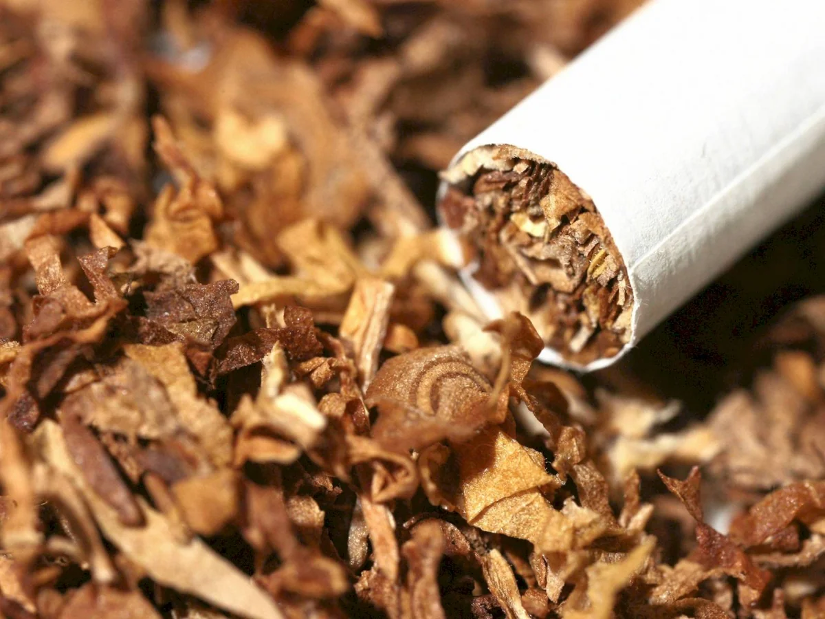 Azerbaijan's tobacco export more than doubles