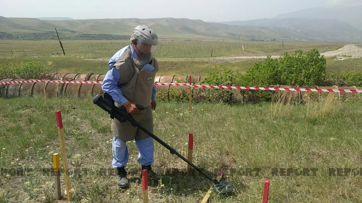Suqovuşanda kommunikasiya xətləri boyunca 2 500 mina tapılıb - VİDEO