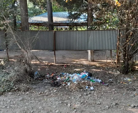 Masallıda ətraf mühiti məişət tullantıları ilə zibilləyən şəxslər barəsində tədbirlər görülüb