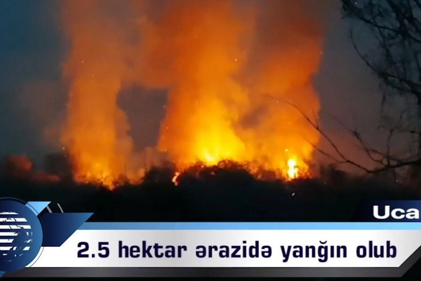 Ucarda 2.5 hektar ərazidə yanğın olub - VİDEO