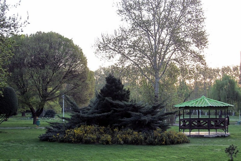 İranda koronavirusa görə bağlanan parklar açıldı