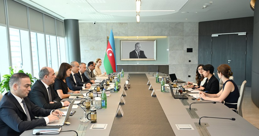 Azerbaijan, IMF mull tax reforms