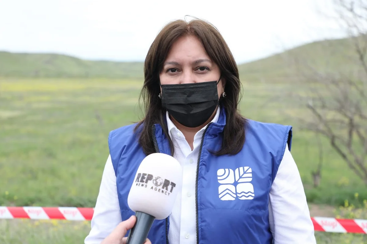 Bu həftənin hava proqnozu açıqlanıb