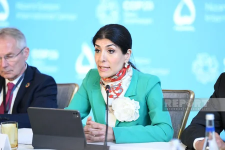 Bakıda “COP29-a aparan yol: Dayanıqlı və davamlı gələcək” mövzusunda 29-cu yüksək səviyyəli görüş davam edir