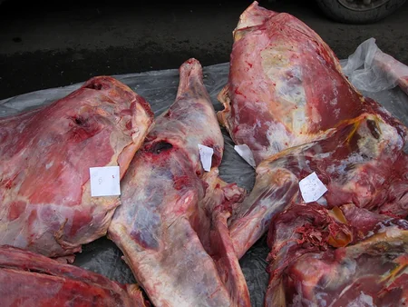 Bakıda 430 kq qida üçün şübhə doğuran mal əti aşkarlanıb