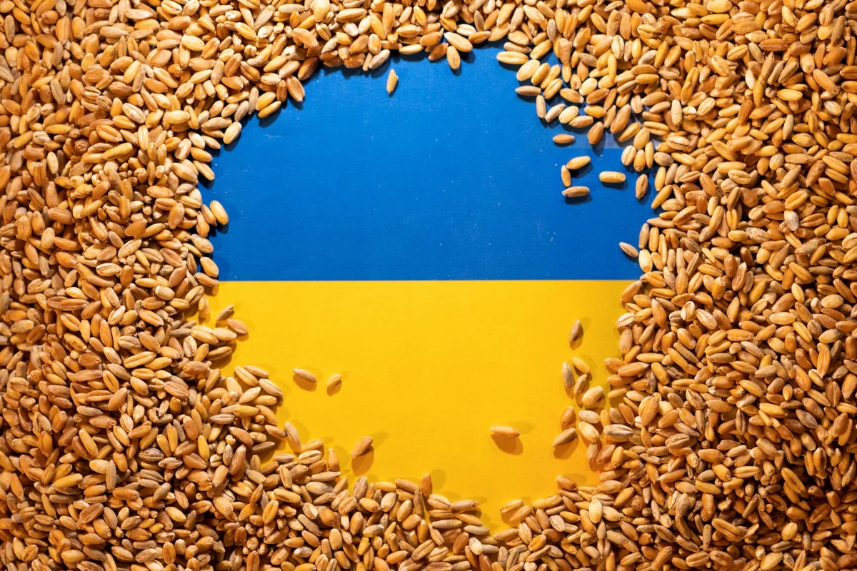 ООН призывает продлить действие договоренностей по экспорту зерна из Украины
