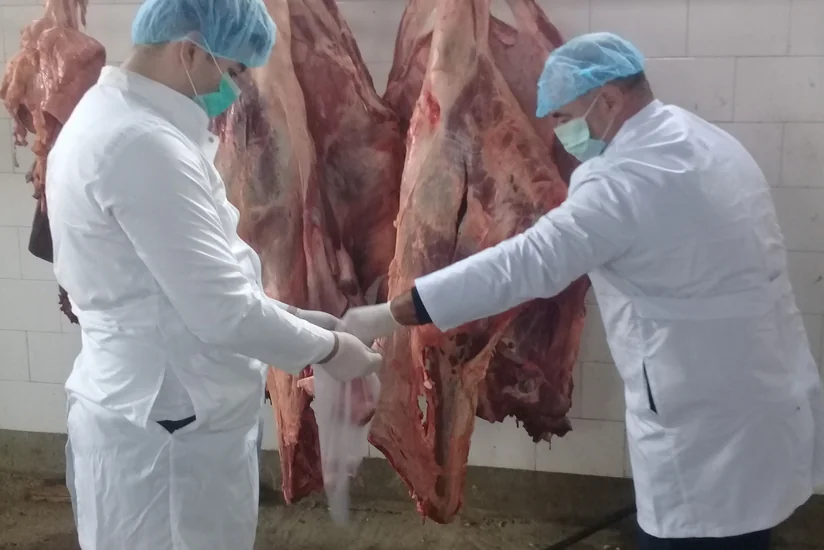 Sumqayıtda istehlak üçün yararsız olan 227 kq ət məhv edilib