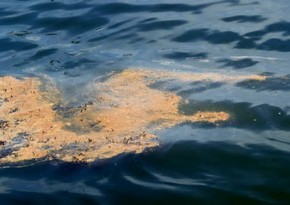В порту Санкт-Петербурга произошел разлив нефтепродуктов 