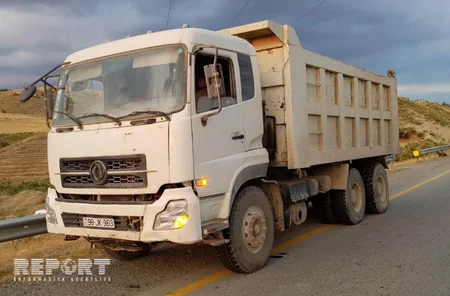 Göyçayda yük maşını qoyun sürüsünü vuraraq tələf edib - FOTO