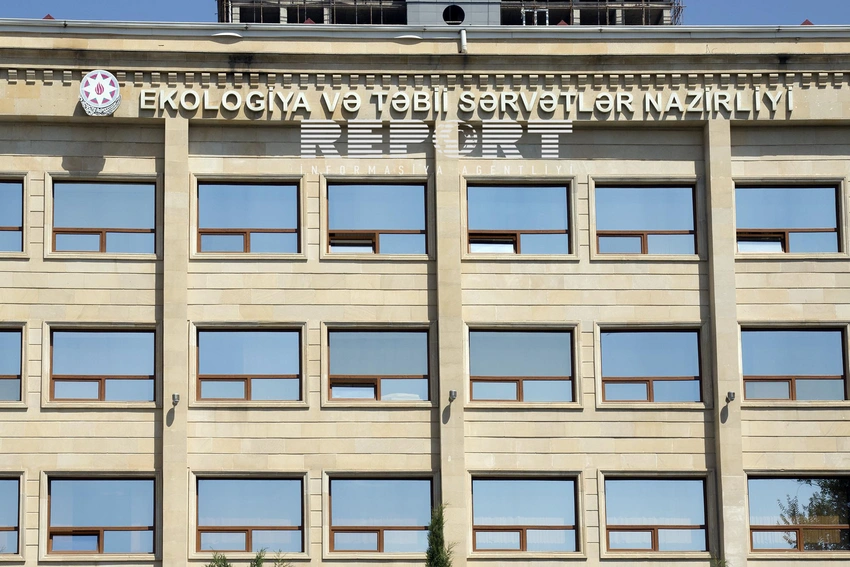 ETSN: Gömrükdə müsadirə olunan zəlilərin təbiətə buraxılması qərara alınıb