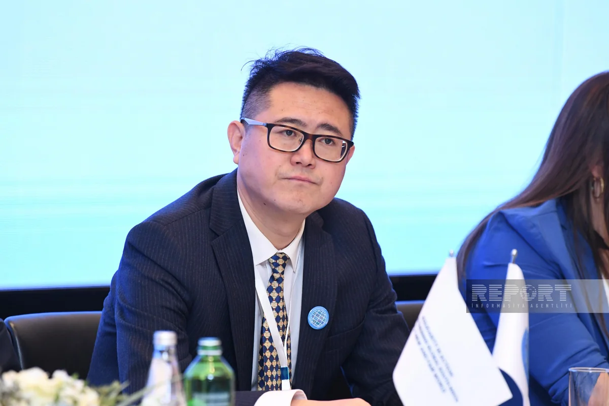 Renying Li: Azerbaijan-China co-op set to shape green future
