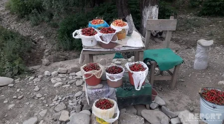 Azərbaycanın şimalında turistlər otellərdə yox, evlərdə qalmağa üstünlük verirlər - VİDEOREPORTAJ