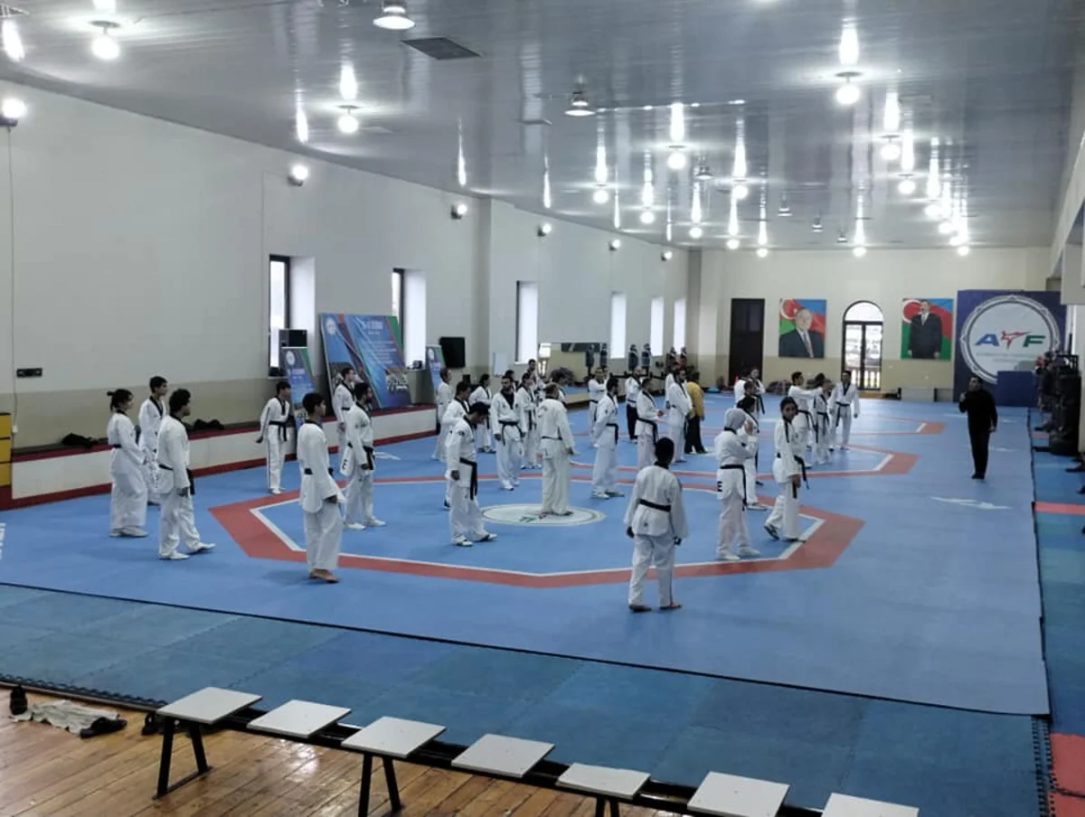 Taekvondo hakimləri üçün seminar keçirilir