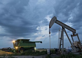 US oil stocks rise unexpectedly over week
