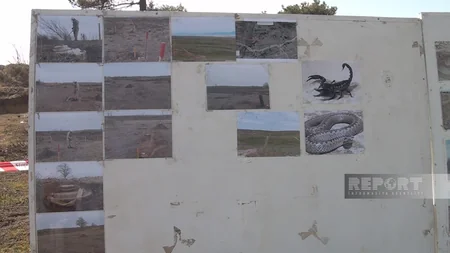 59 anti-tank mines found at mass grave site in Azerbaijan’s Fuzuli