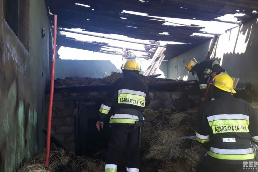 Tovuzda tövlə yanıb, mal-qara tələf olub - FOTO - VİDEO - YENİLƏNİB