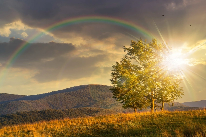 Weather forecast for August 25 announced