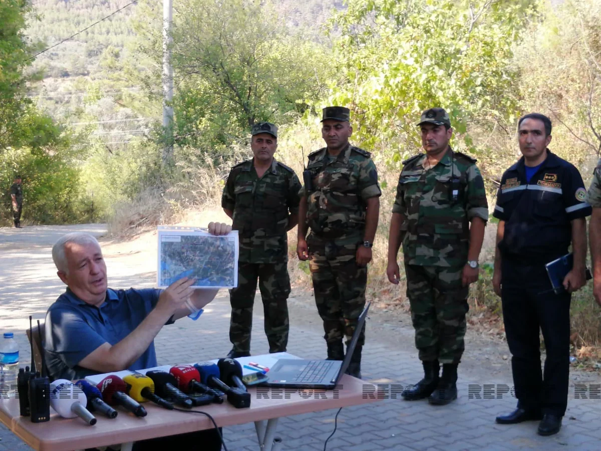 Etibar Mirzəyev: Türkiyədə 240 nöqtədə yanğın olub