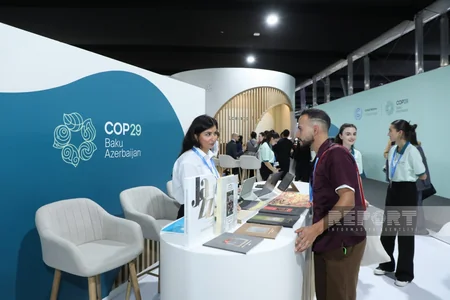 На COP29 представлены павильоны разных стран