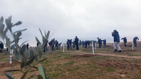 Сотрудники Азерэнержи присоединились к акции по посадке деревьев