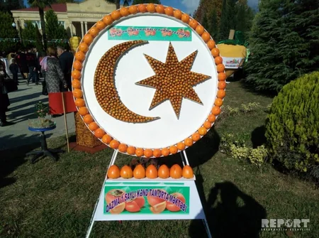 Balakəndə ikinci Beynəlxalq Xurma Festivalı keçirilir - FOTO - VİDEO