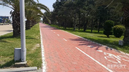 Батуми - жемчужина Черного моря, город с необычной архитектурой - РЕПОРТАЖ