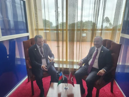 Azerbaijan's deputy FM represents nation at 50th OIC Foreign Ministers Council Session in Cameroon