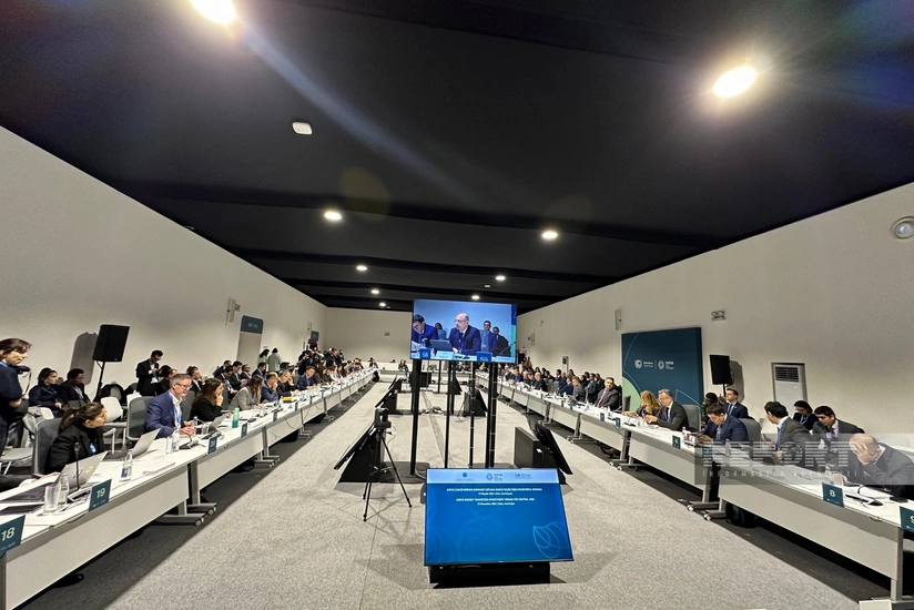 “Mərkəzi Asiyada Sürətləndirilmiş Bərpa Olunan Enerji Tərəfdaşlığı” proqramı təsis edilib