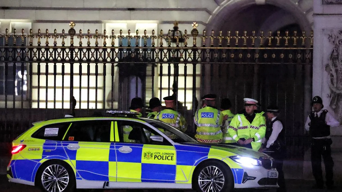Man arrested after Buckingham Palace gate crash