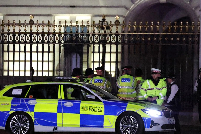 Man arrested after Buckingham Palace gate crash