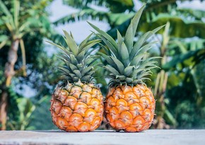 Azerbaijan resumes pineapple purchases from Belgium and Panama