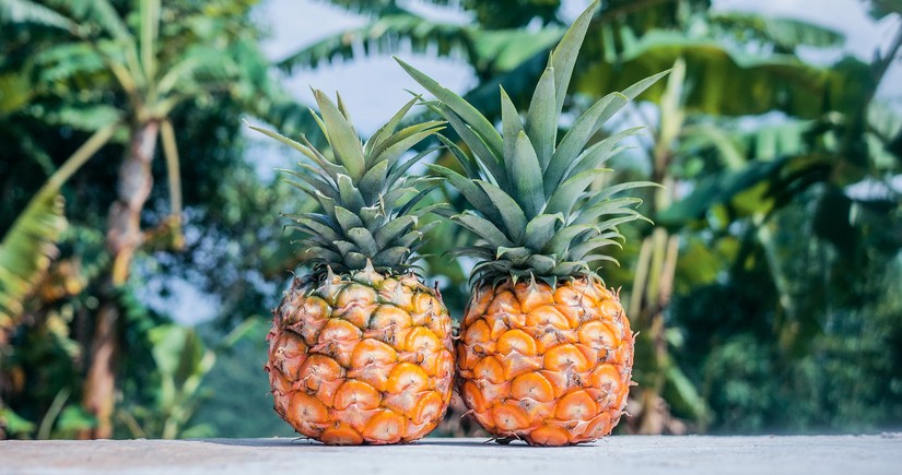 Azərbaycan Belçika və Panamadan ananas alışını bərpa edib