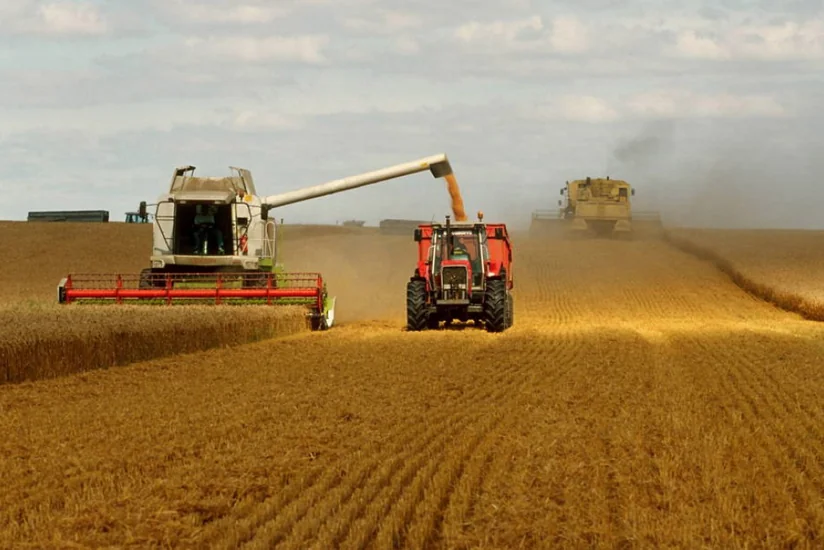 Main part of agricultural production in Azerbaijan accounts for small farms