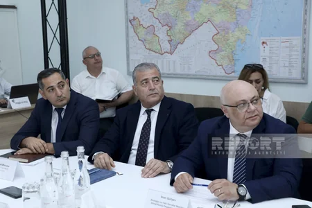 Bəzi ərazilərdə yaşıllıqların və quruyan tinglərin götürülməsi müzakirə olunub