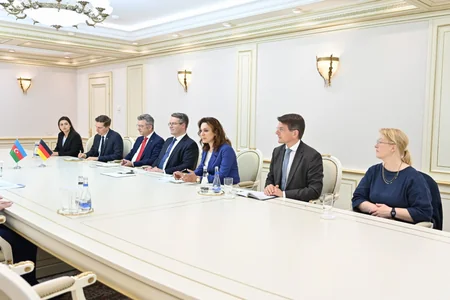 Sahibə Qafarova Almaniya XİN-in dövlət naziri ilə görüşüb