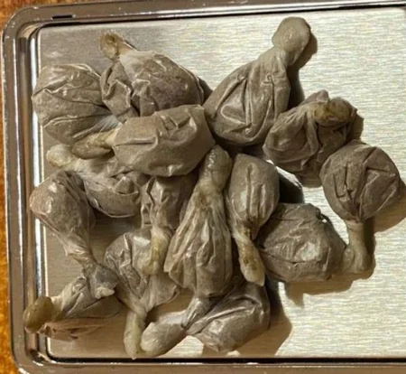 Cəzaçəkmə müəssisəsinə narkotik vasitə keçirilməsinin qarşısı alınıb