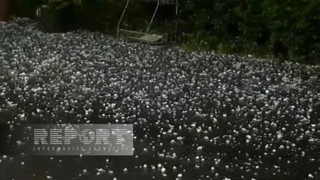 Qaxda dolu təsərrüfata ciddi ziyan vurub