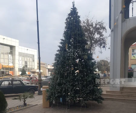 Biləsuvar və Cəlilabadda Yeni ilə hazırlıq işləri davam edir