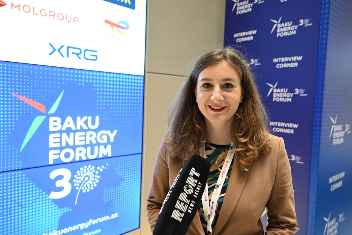 M-Gaz: 'We plan to expand hybrid gas supply project with SOCAR to North Macedonia, Albania' - INTERVIEW