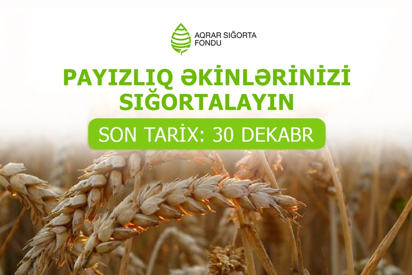 Фонд аграрного страхования: Процесс страхования осенних посевов завершится к концу месяца