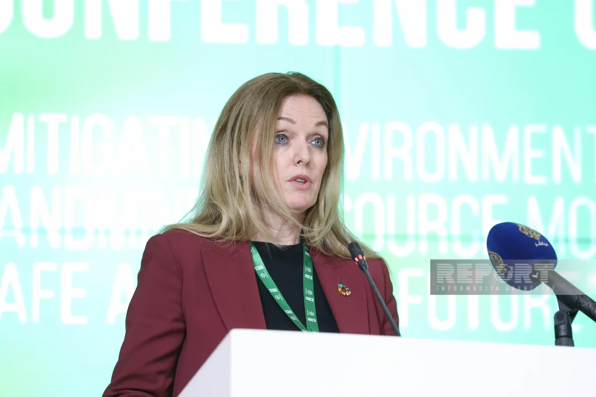 UN Assistant Sec-Gen: Tackling mine problem requires collective action, comprehensive approach