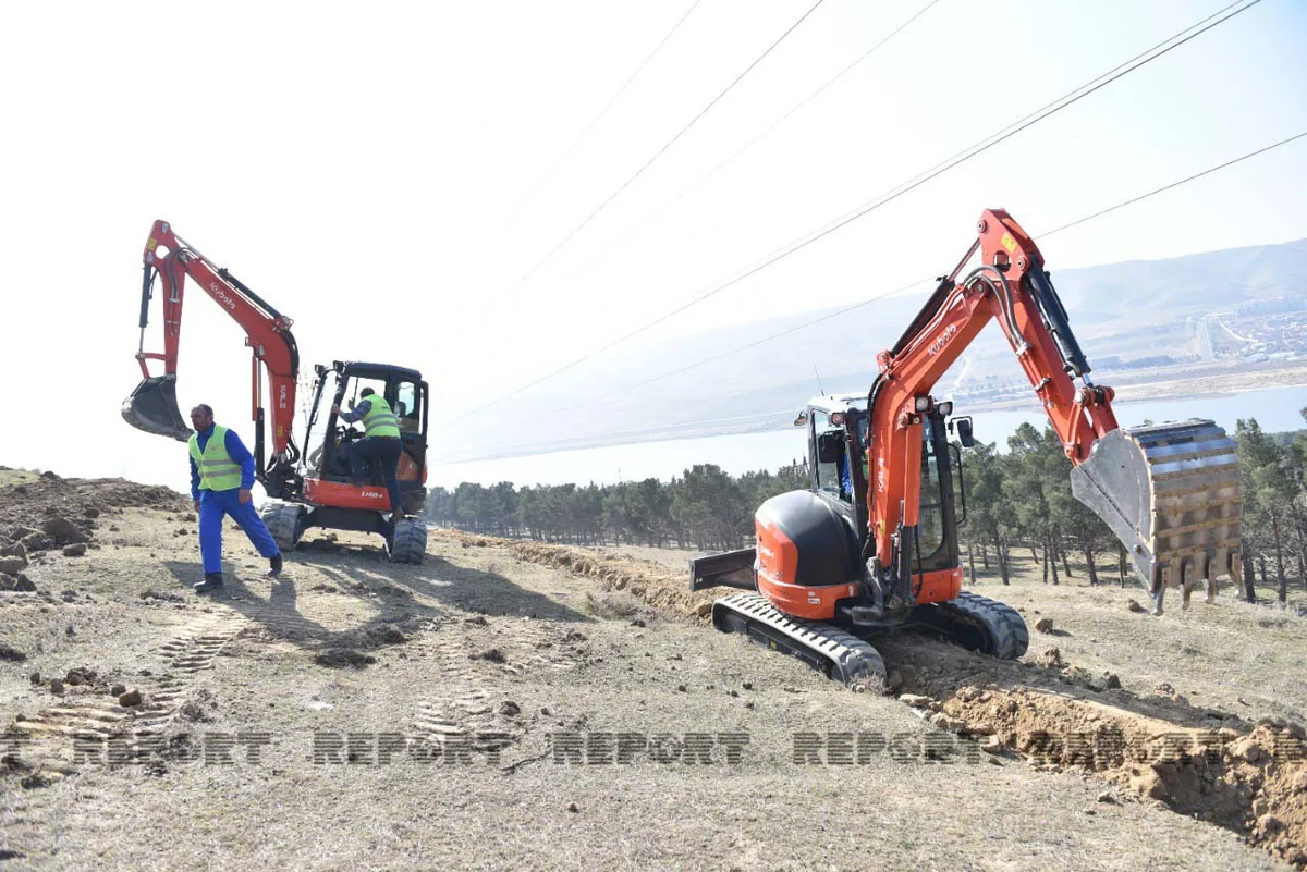 Mürəkkəb relyefli, sərt yamaclı ərazilərdə ağac əkininə başlanılıb
