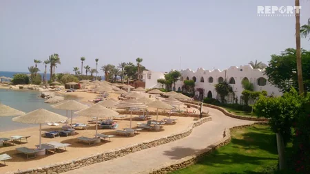 Qırmızı dəniz sahilindəki ecazkar və nadir gülləri ilə məşhur şəhərdən - REPORTAJ