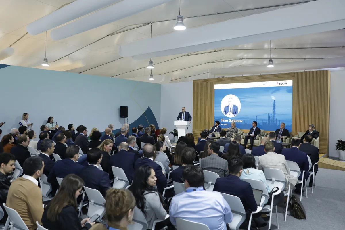 На COP29 обсудили климатическое финансирование для сокращения выбросов метана