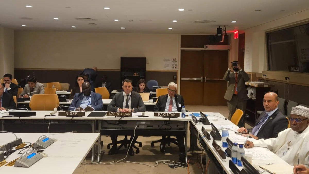 Deputy FM reiterates Azerbaijan's position on Jammu and Kashmir issue